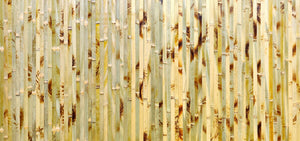 Bamboo Wall Paneling - Bamboo Toronto Store