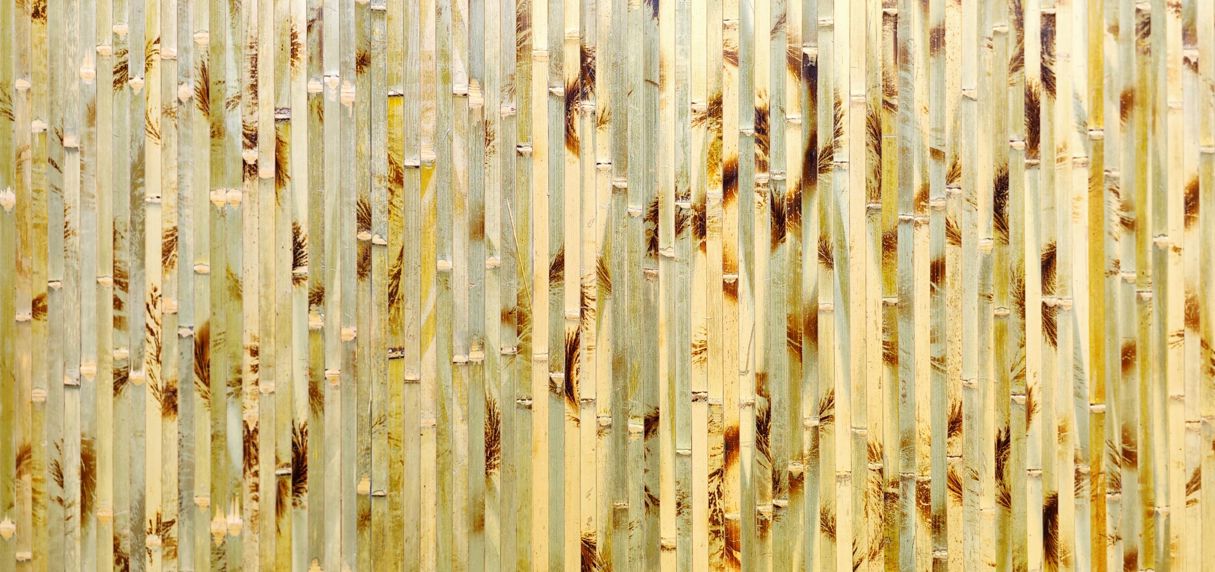 Bamboo Wall Paneling - Bamboo Toronto Store
