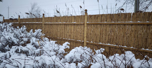 Tonkin Bamboo Fencing - Bamboo Toronto Store