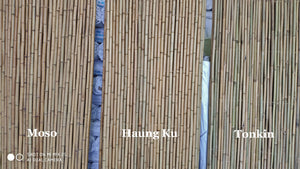 Huang Ku Bamboo Fencing - Bamboo Toronto Store