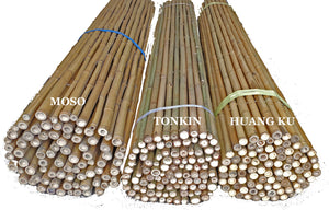 Huang Ku Bamboo Fencing - Bamboo Toronto Store