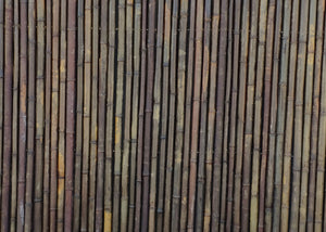 Dark Carbonized Bamboo Fencing - Bamboo Toronto Store