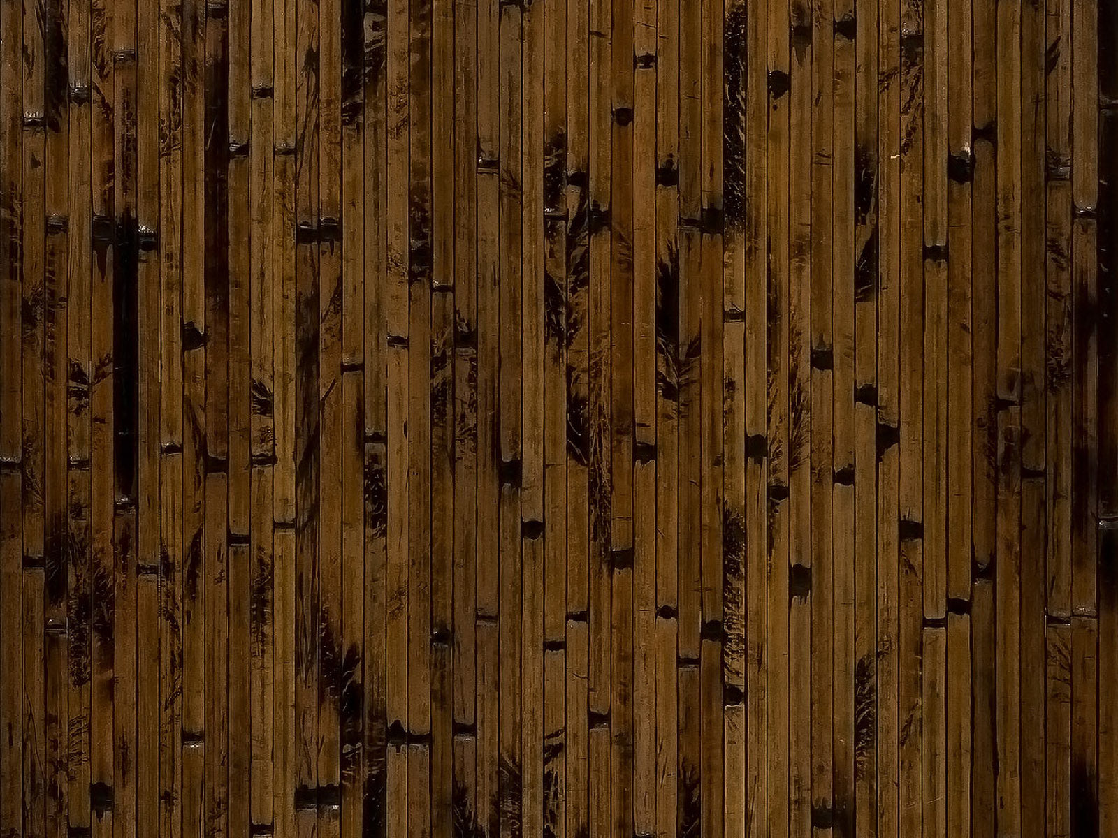 Bamboo Wall Paneling - Bamboo Toronto Store
