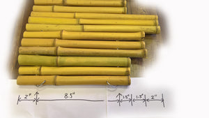 Bamboo Garden Edge - Bamboo Toronto Store