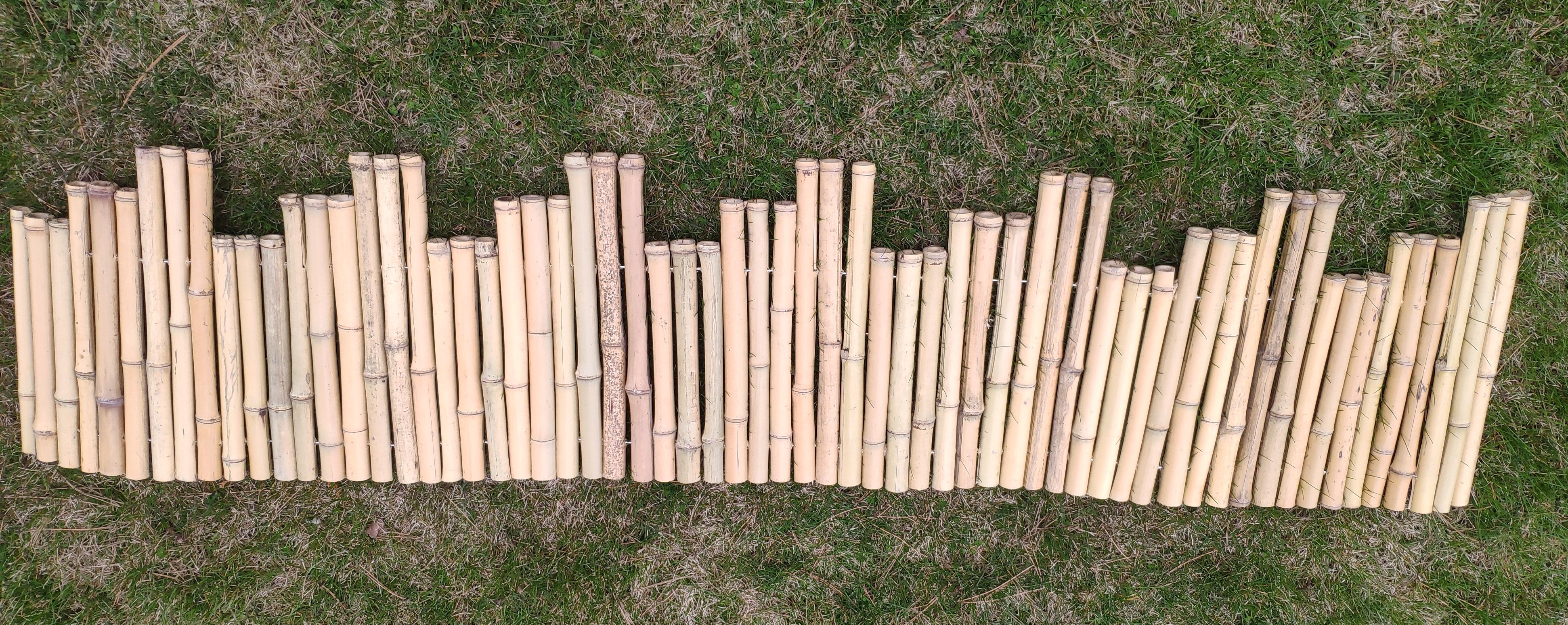 Bamboo Garden Edge - Bamboo Toronto Store