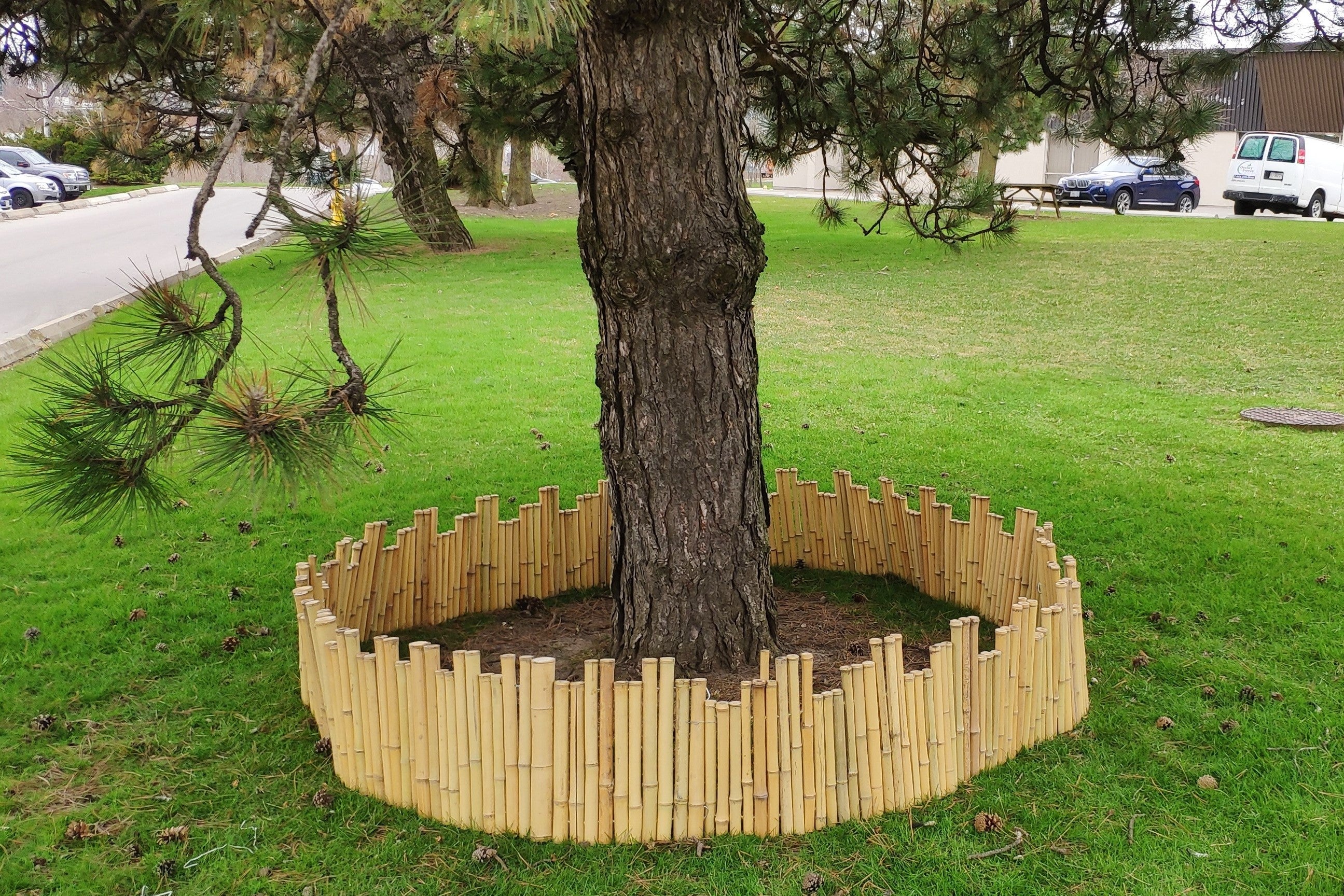 Bamboo Garden Edge - Bamboo Toronto Store