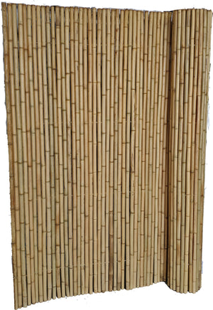 Huang Ku Bamboo Fencing - Bamboo Toronto Store