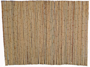 Huang Ku Bamboo Fencing - Bamboo Toronto Store