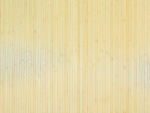 Bamboo Wall Paneling - Bamboo Toronto Store