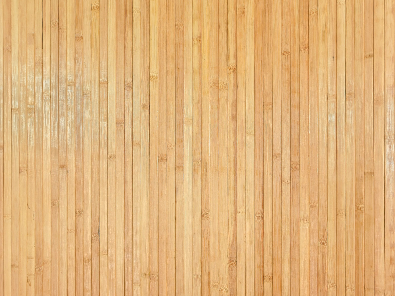 Bamboo Wall Paneling - Bamboo Toronto Store