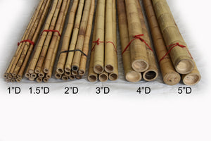 Moso Bamboo Pole 5"D x 10'L - Bundle - Bamboo Toronto Store