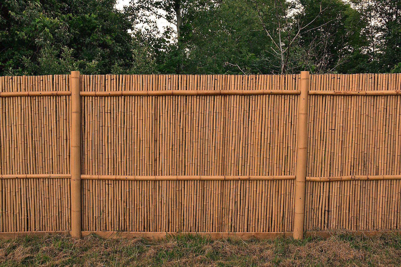 Natural Bamboo Fencing - Bamboo Toronto Store