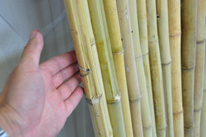 Natural Bamboo Fencing - Bamboo Toronto Store