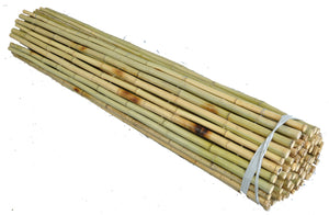 Natural Bamboo Fencing - Bamboo Toronto Store