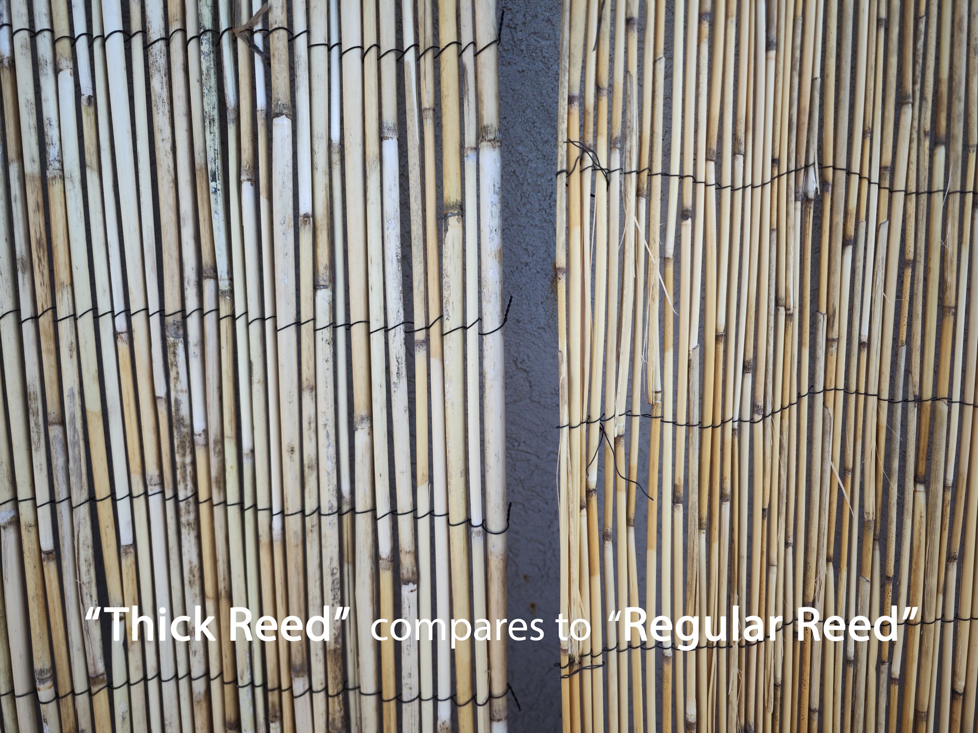 Thick Reed Fencing 6'H x 16'L - Bamboo Toronto Store