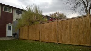 Tonkin Bamboo Fencing - Bamboo Toronto Store