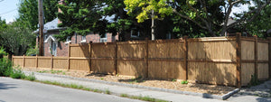 Tonkin Bamboo Fencing - Bamboo Toronto Store