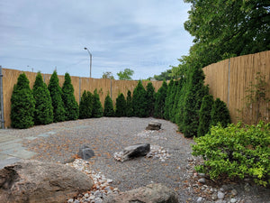 Tonkin Bamboo Fencing - Bamboo Toronto Store