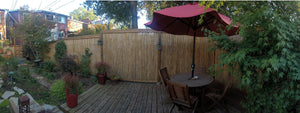 Tonkin Bamboo Fencing - Bamboo Toronto Store