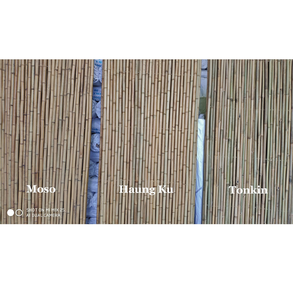 Huang Ku Bamboo Fence - Bamboo Toronto Store