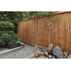 Tonkin Bamboo Fencing - Bamboo Toronto Store