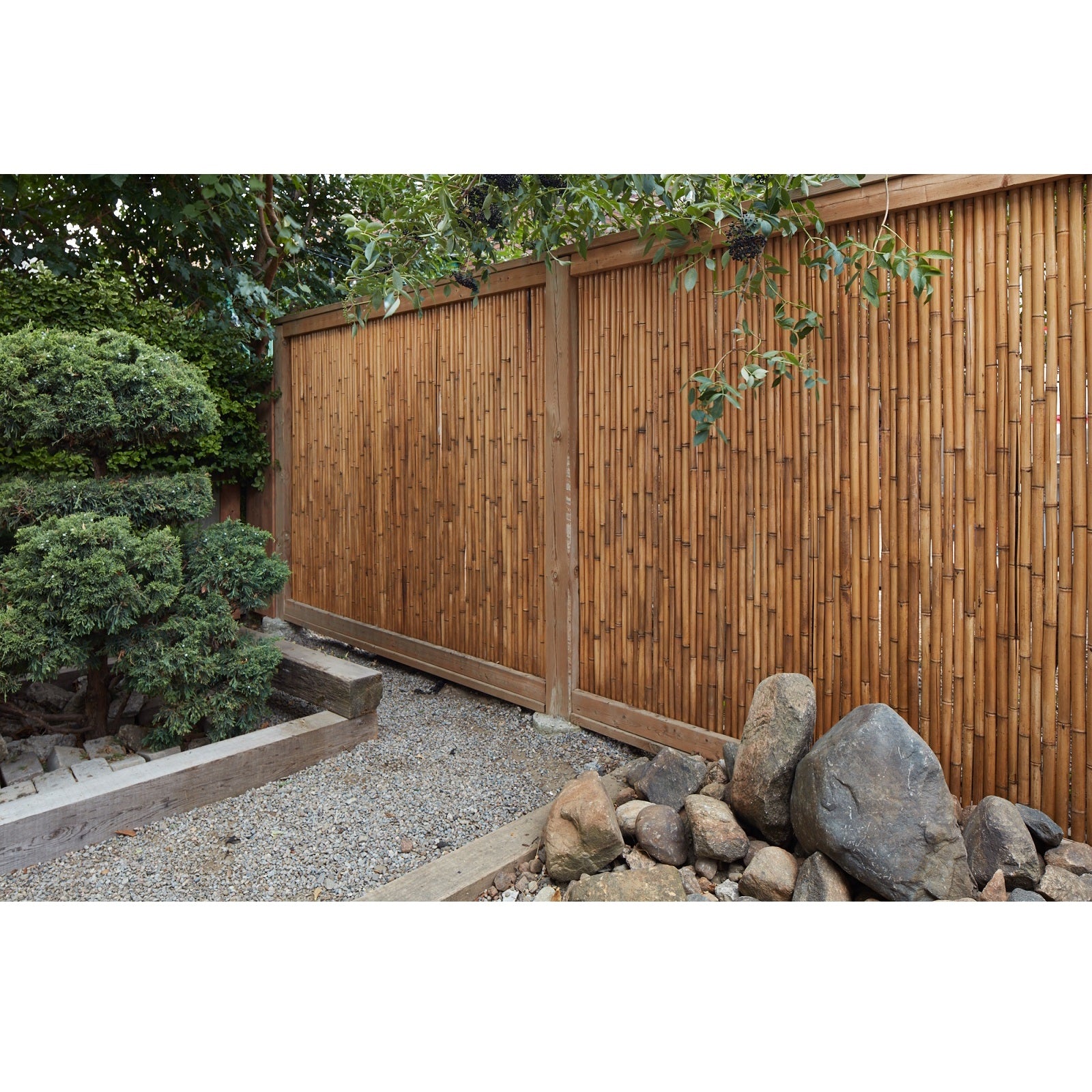 Tonkin Bamboo Fencing - Bamboo Toronto Store