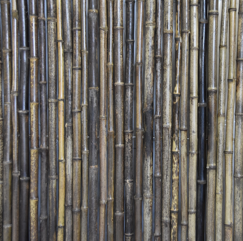 Dark Brown Bamboo Fence - Bamboo Toronto Store