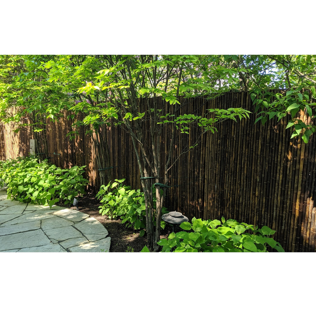 Dark Carbonized Bamboo Fencing - Bamboo Toronto Store