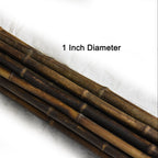 Dark Brown Bamboo Poles - Bamboo Toronto Store
