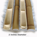 Bamboo Half Round Poles - Bundle - Bamboo Toronto Store