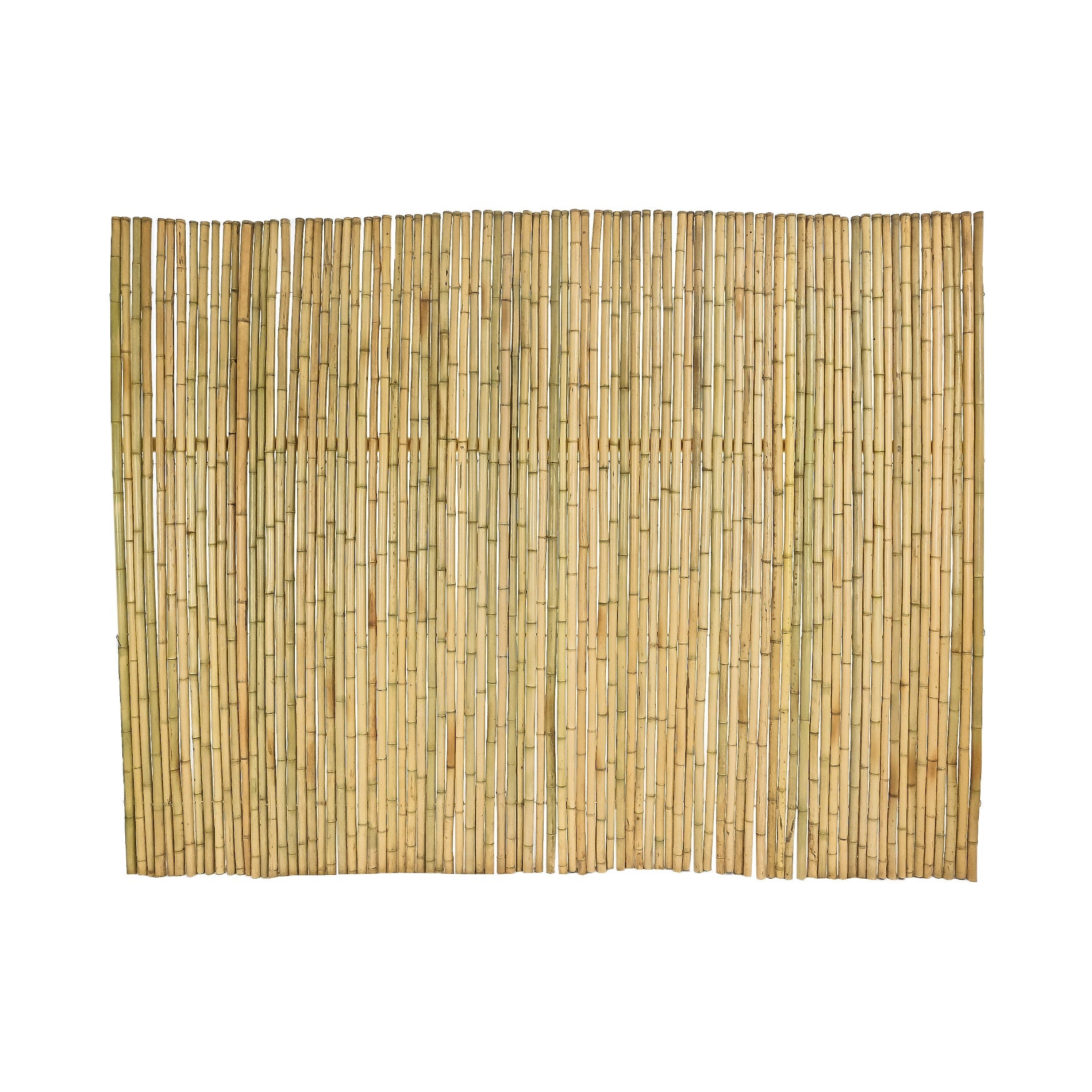 Huang Ku Bamboo Fence 4 ~ 10 FT Height – Bamboo Toronto Store