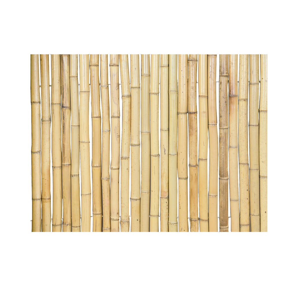 Moso Bamboo Fencing