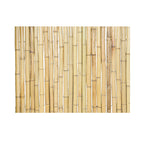 Moso Bamboo Fencing