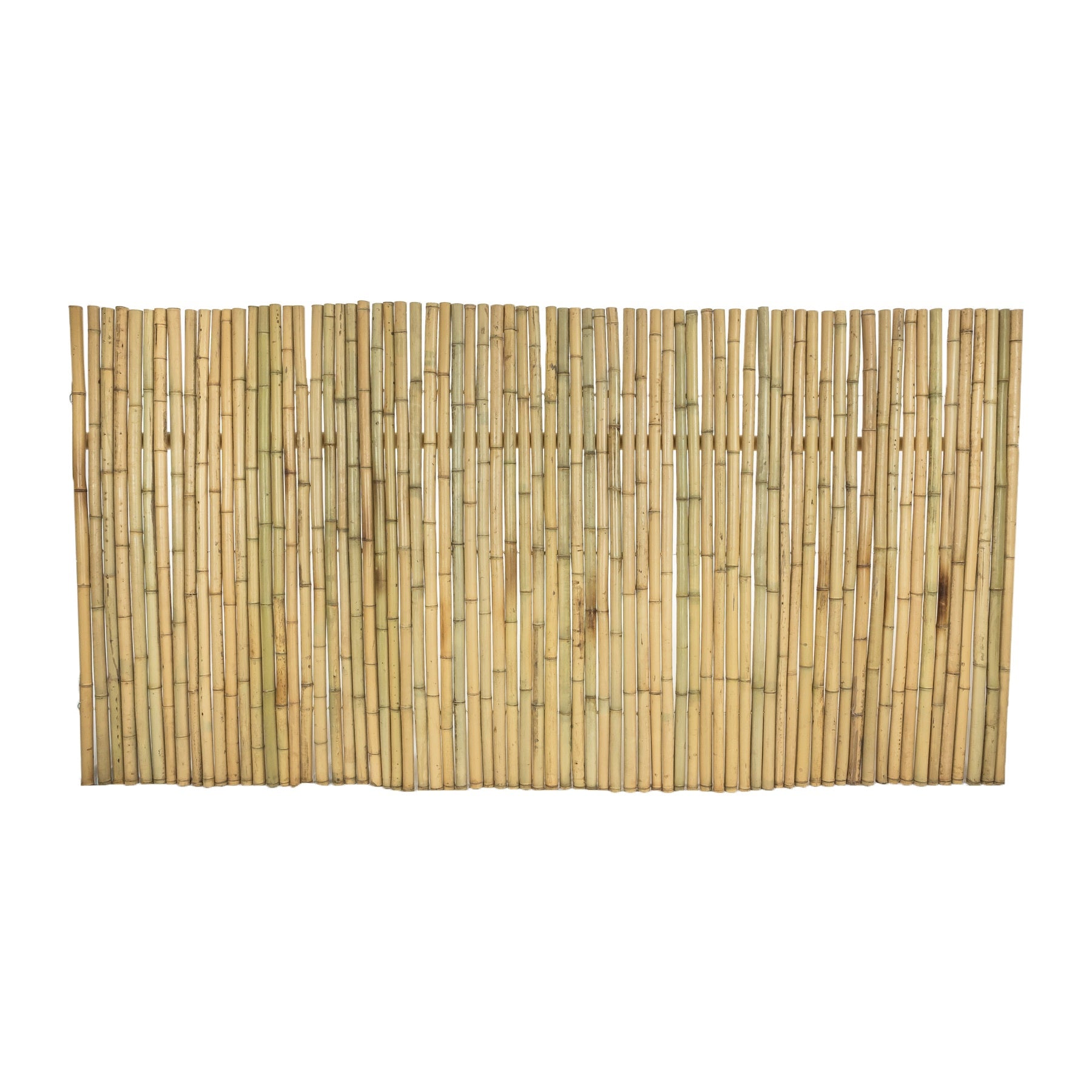 Moso Bamboo Fencing