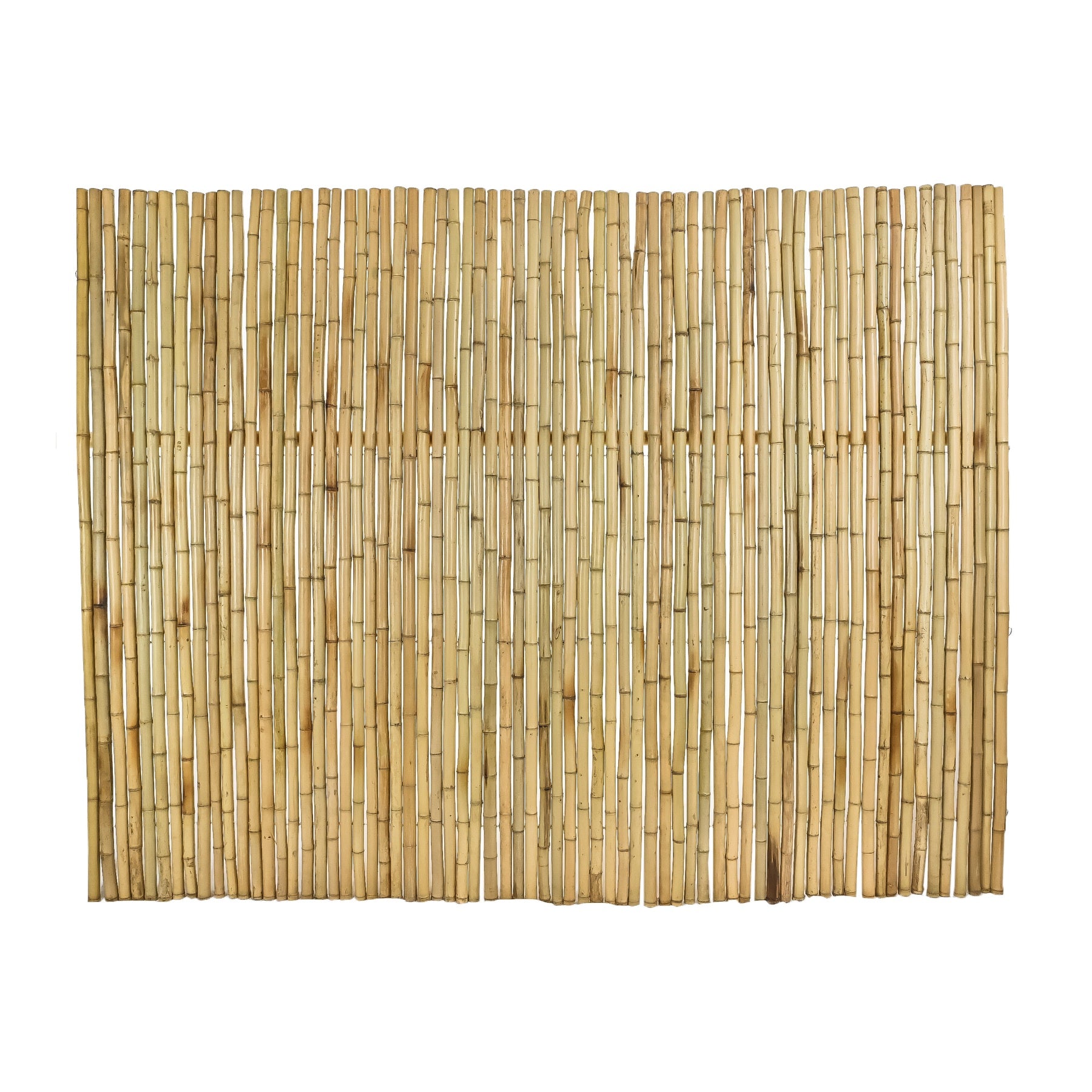 Moso Bamboo Fencing