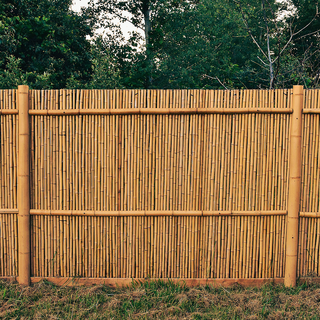 Moso Bamboo Fencing