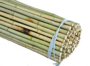 Natural Bamboo Fencing - Bamboo Toronto Store