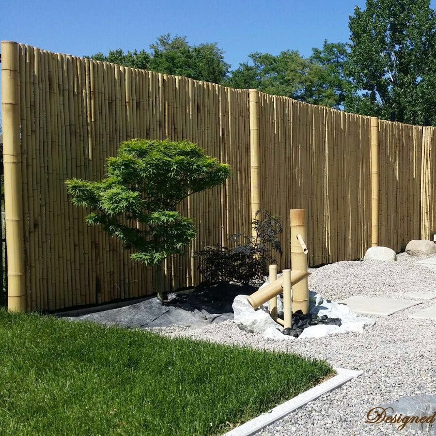 Moso Bamboo Poles - Bamboo Toronto Store