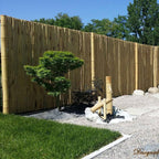 Moso Bamboo Poles - Bamboo Toronto Store