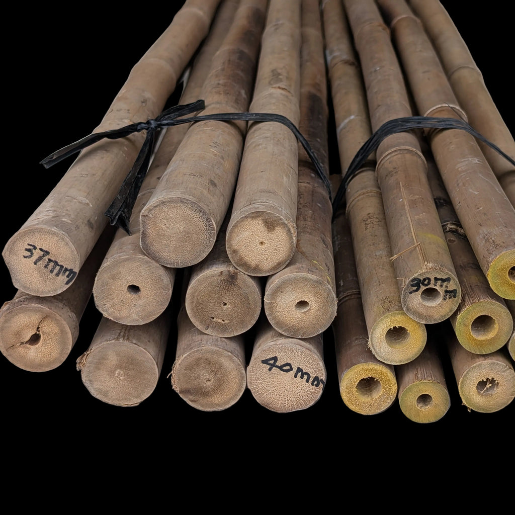 Solid Bamboo Poles