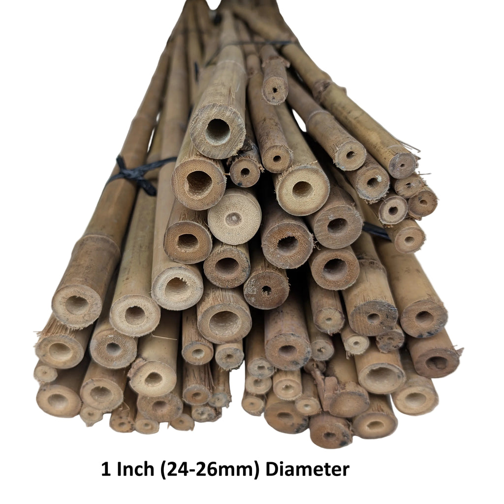 Solid Bamboo Poles