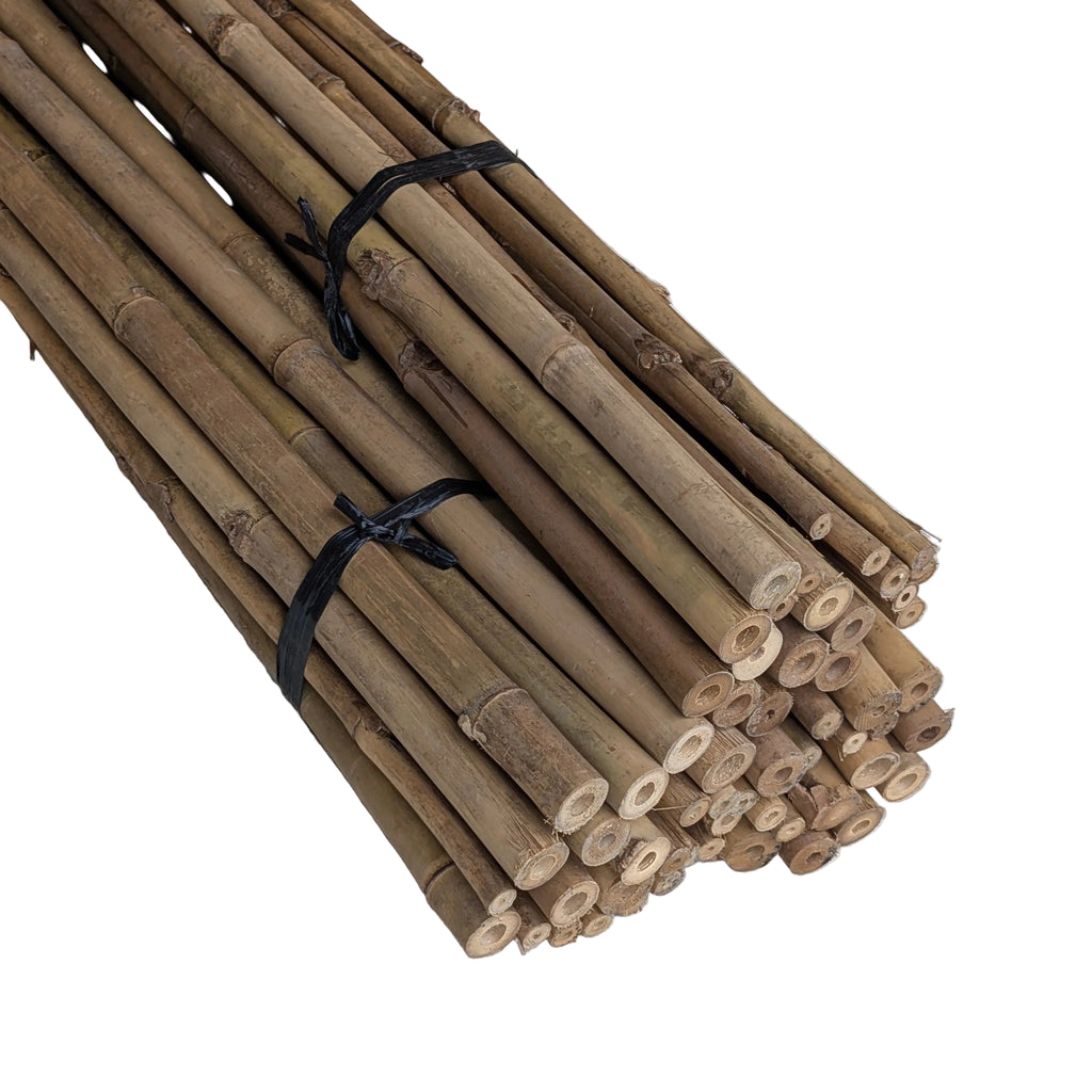 Solid Bamboo Poles
