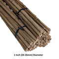 Bundled solid bamboo stakes with a black rubber band on a white background, labeled 1 Inch (24-26mm) Diameter.