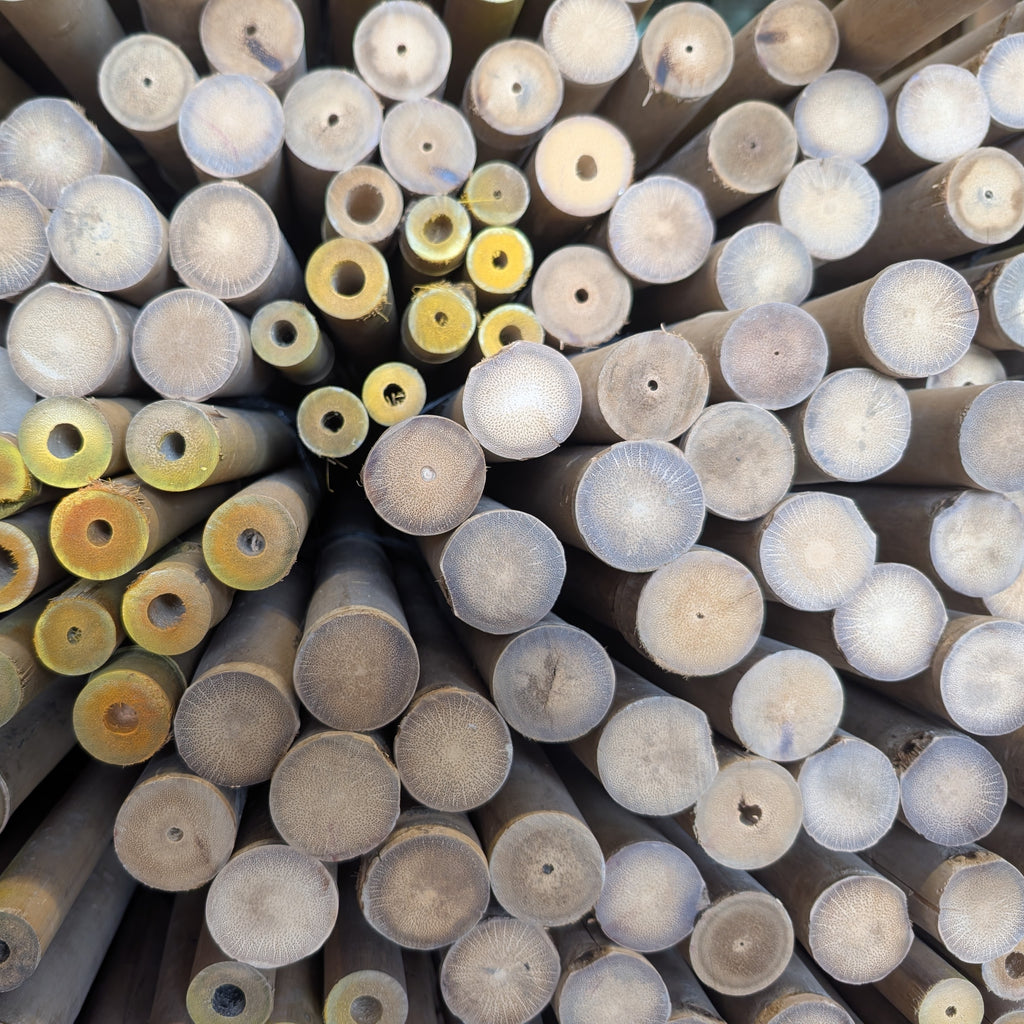 Solid Bamboo Poles
