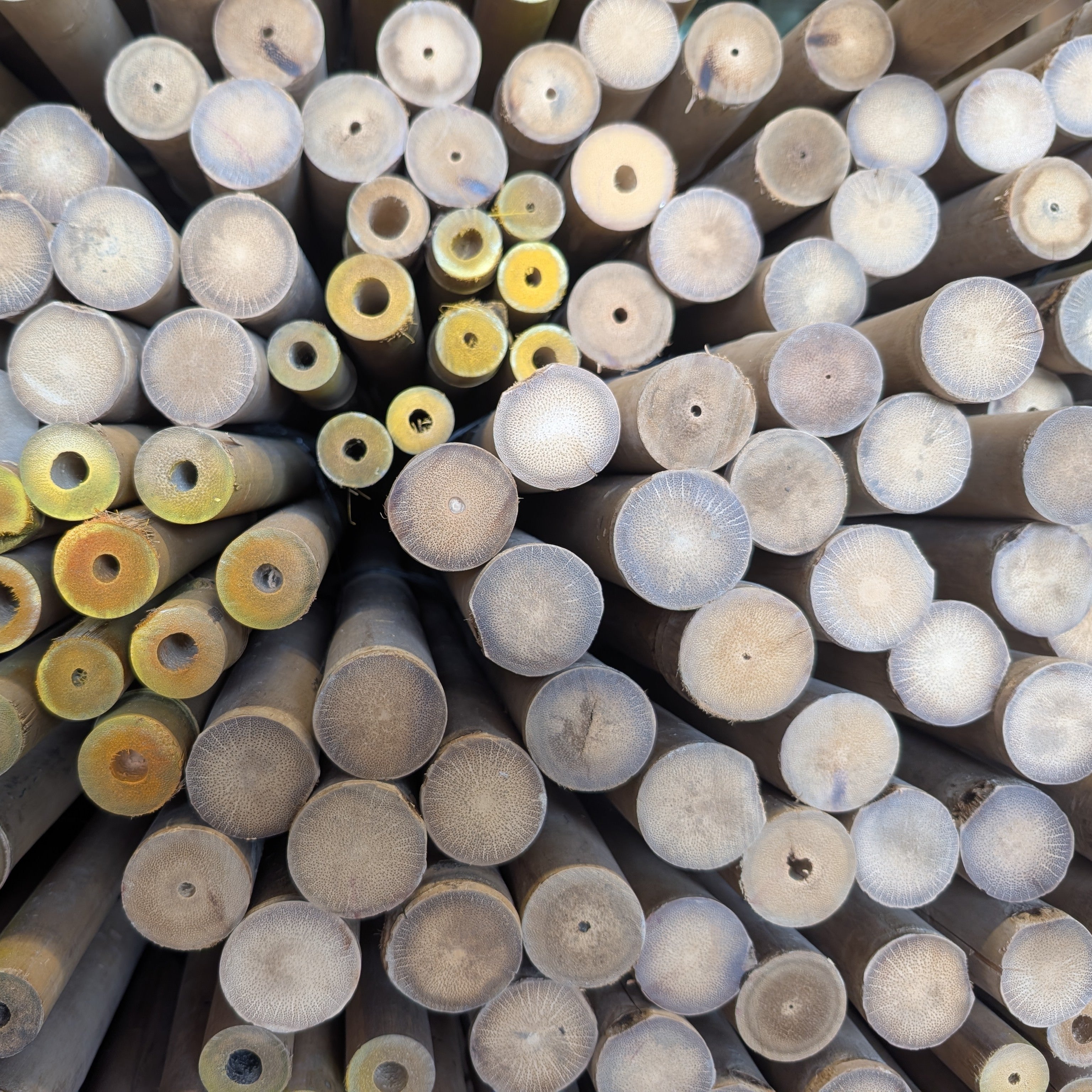Solid Bamboo Poles