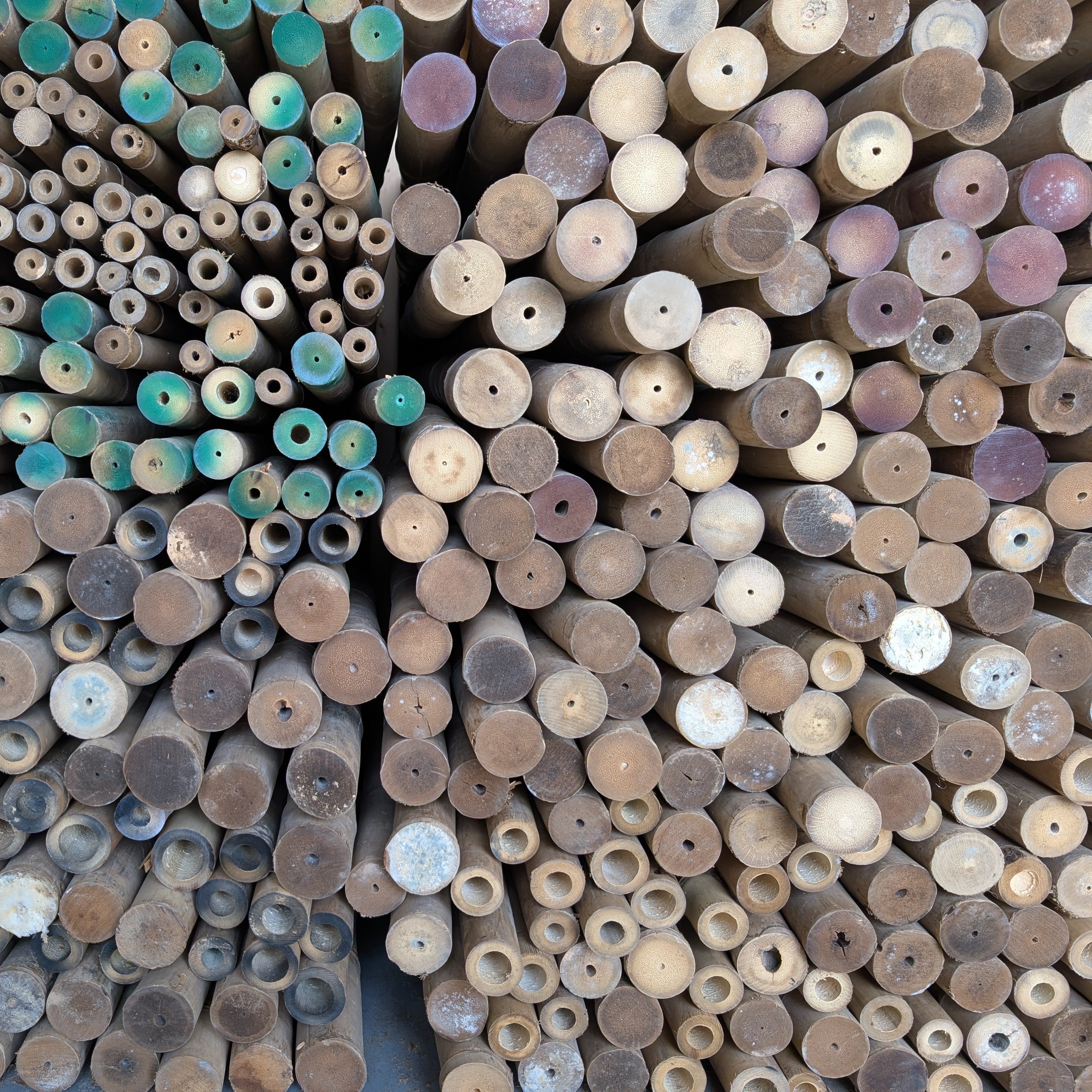 Solid Bamboo Poles