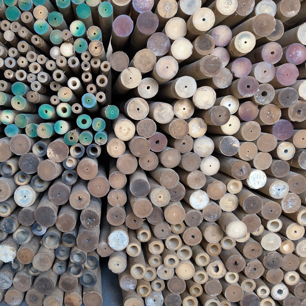 Solid Bamboo Poles
