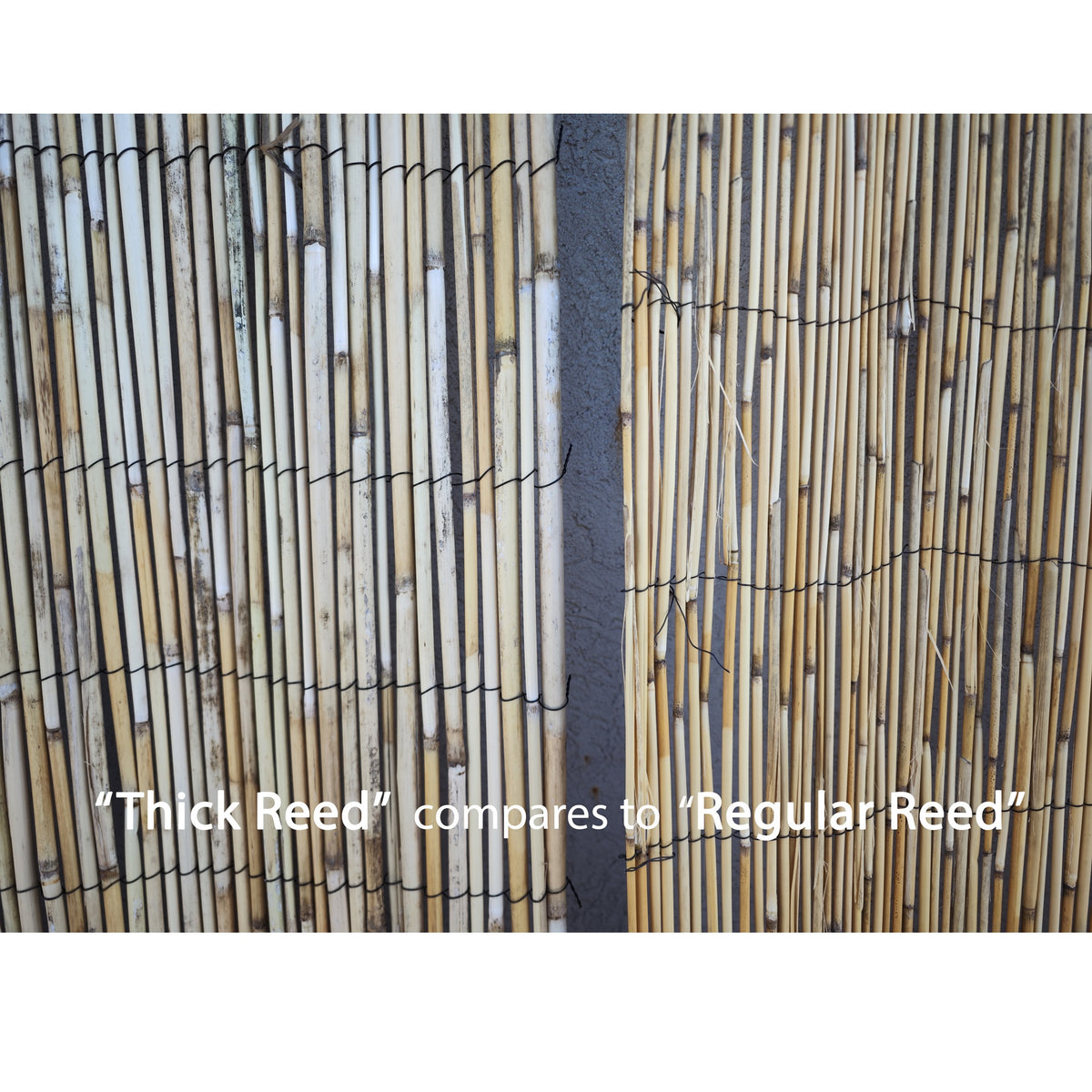 Bamboo Reed Frame Reed Fencing – Bamboo Toronto Store