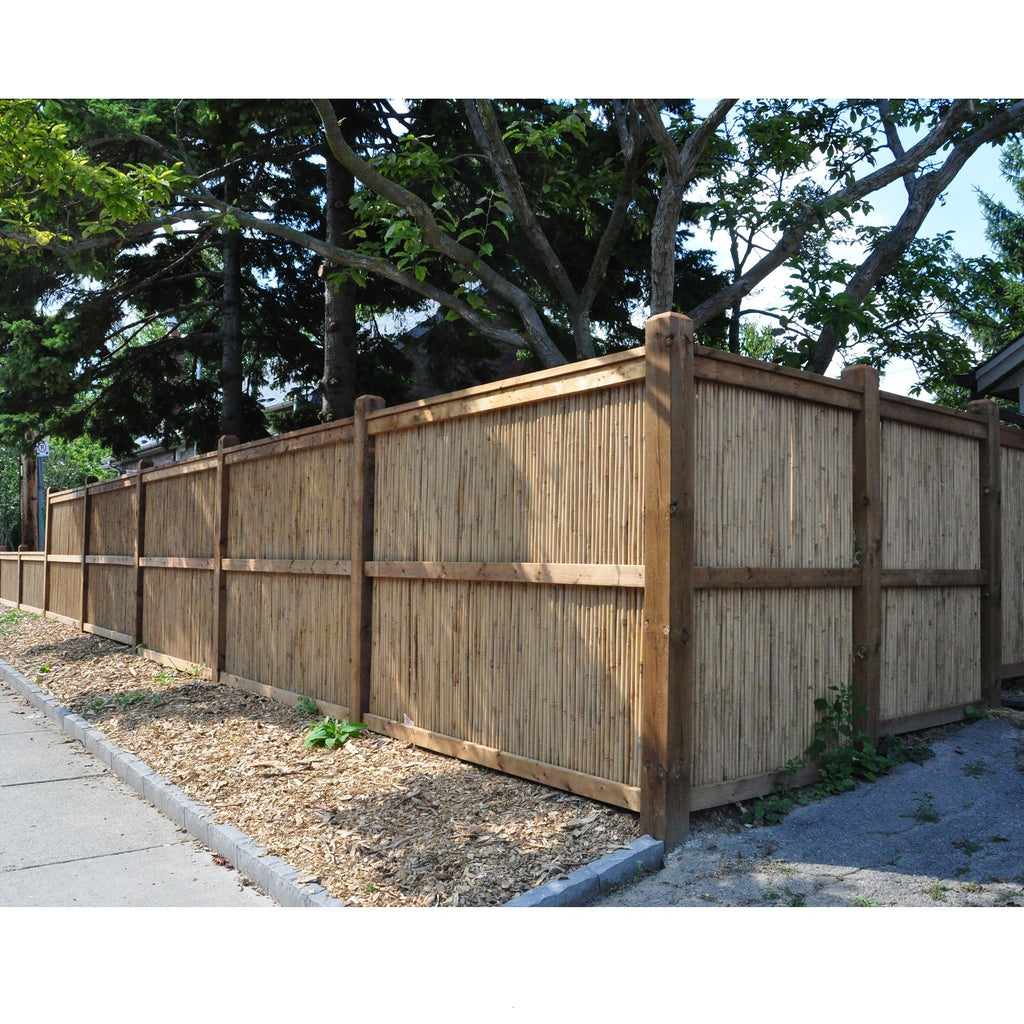 Tonkin Bamboo Fencing - Bamboo Toronto Store