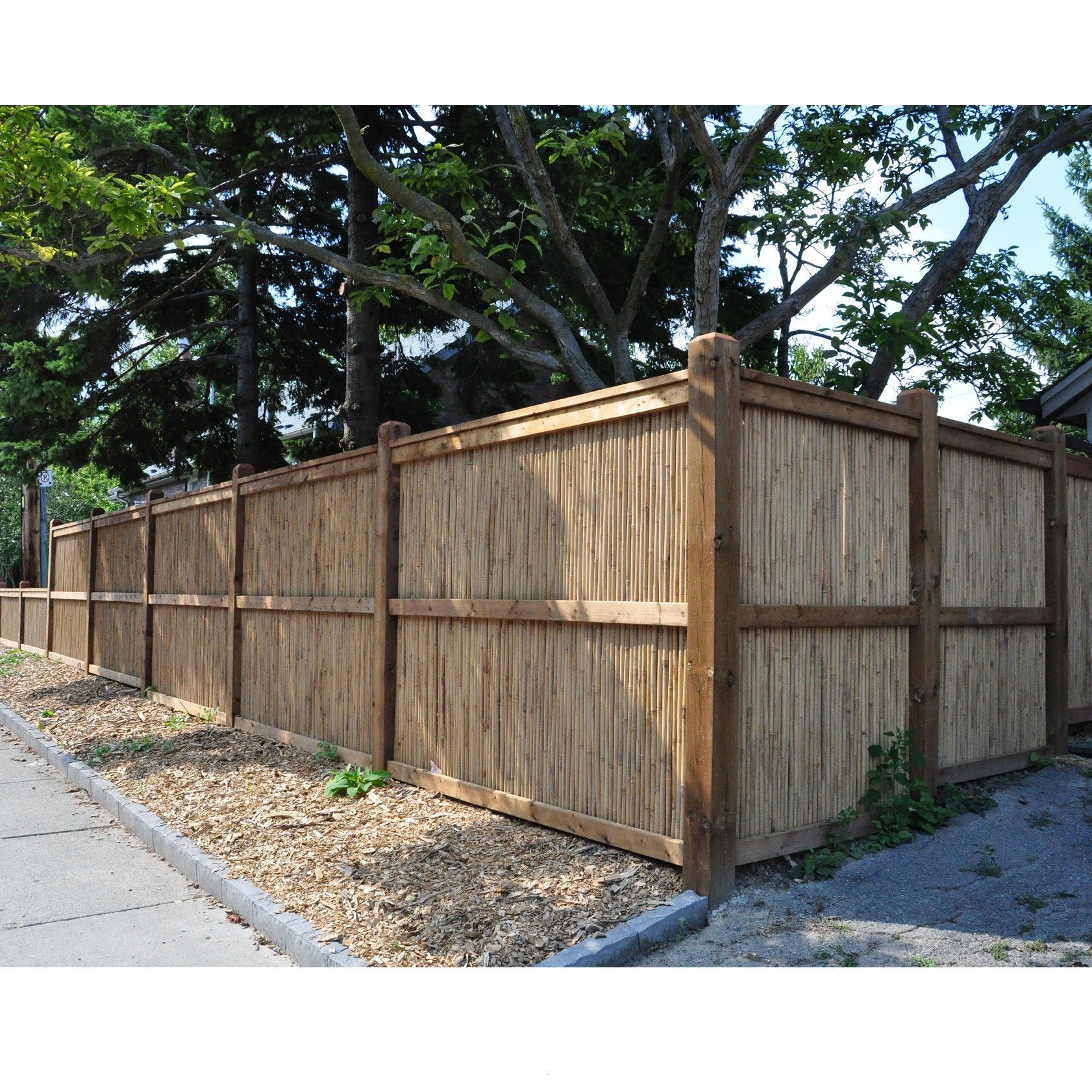 Tonkin Bamboo Fencing - Bamboo Toronto Store
